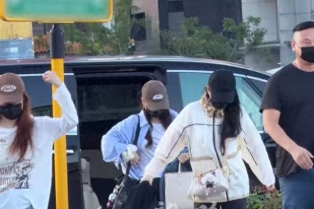 刘亦菲的“不卷”工作节奏，为何精准契合了当下女性松弛感审美？