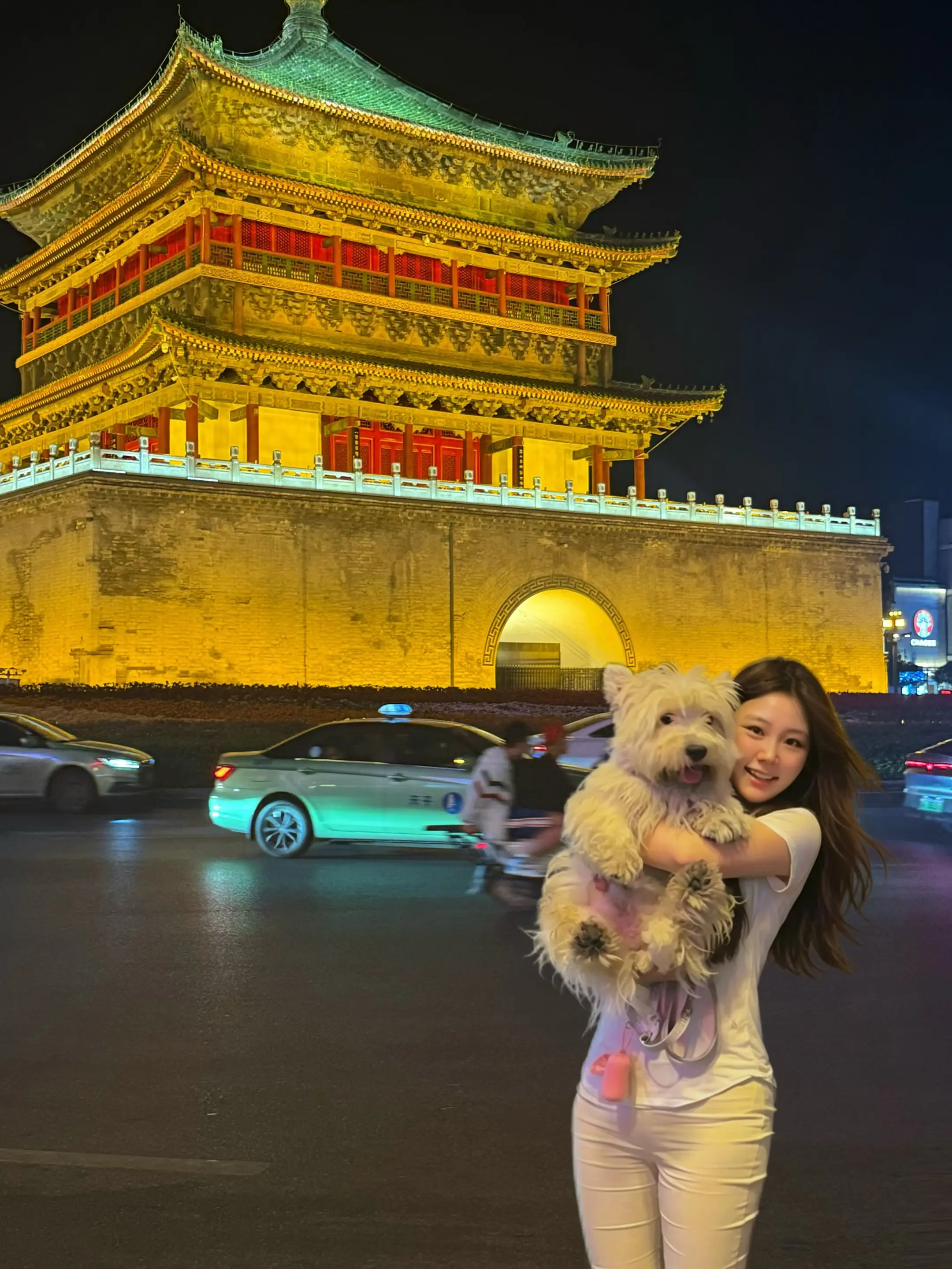 它的小脚印又在新地方留下了痕迹