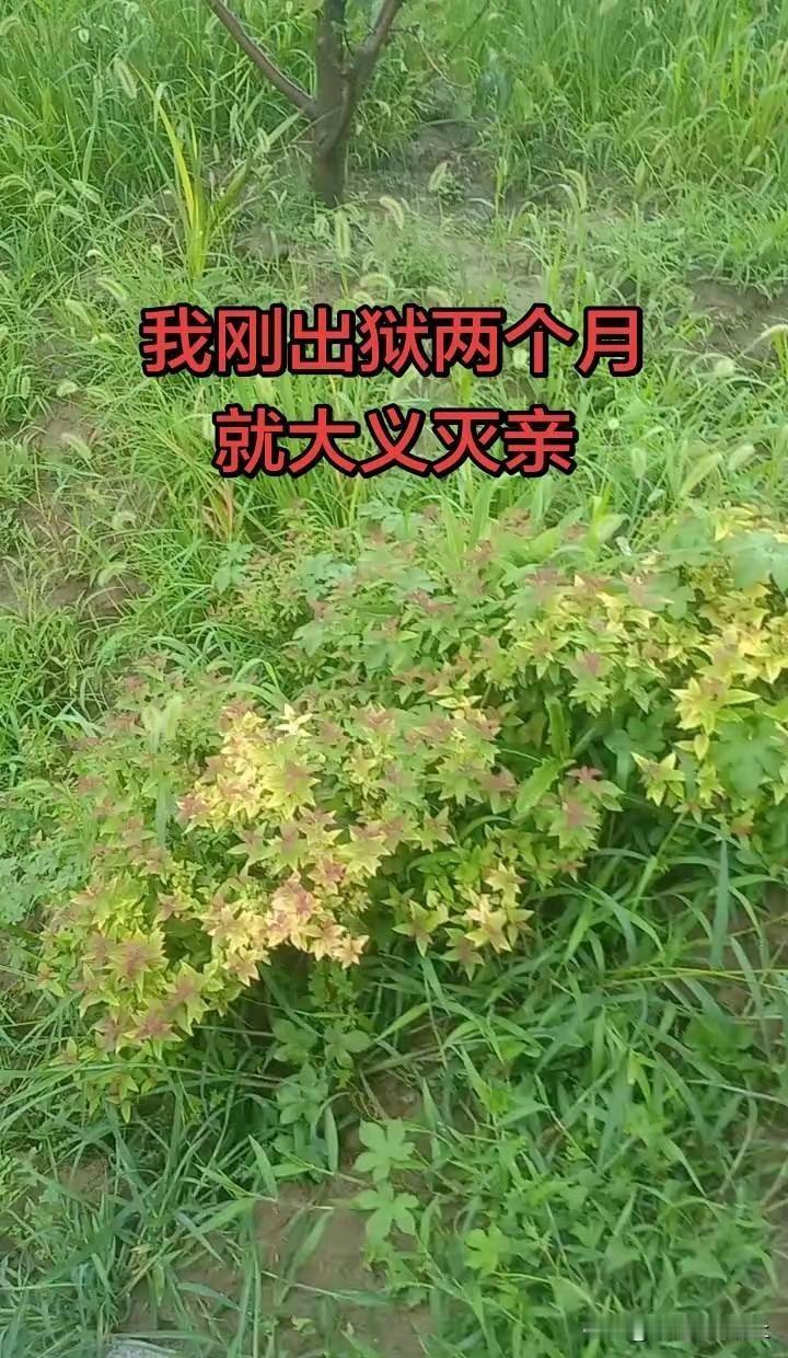 十人山东泰山客场1‑0上海海港!泽卡5分钟闪击破门一击制胜!黄政宇两黄变一红!于