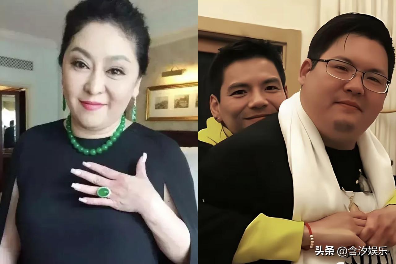 2026年初，香港豪门向家出了件糟心事，向太小儿子向佑因不满遗产安排，半夜索要5