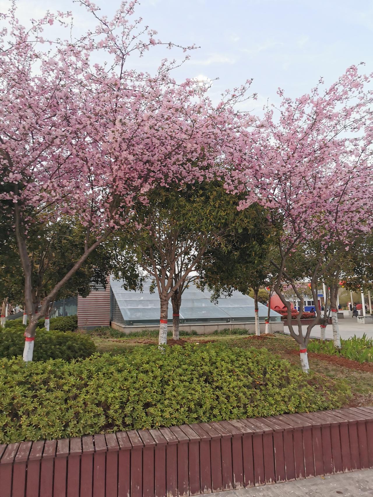 数据造假，形式主义的“活典型”，河南3地“上榜”。
    舞阳、管城区、柘城，
