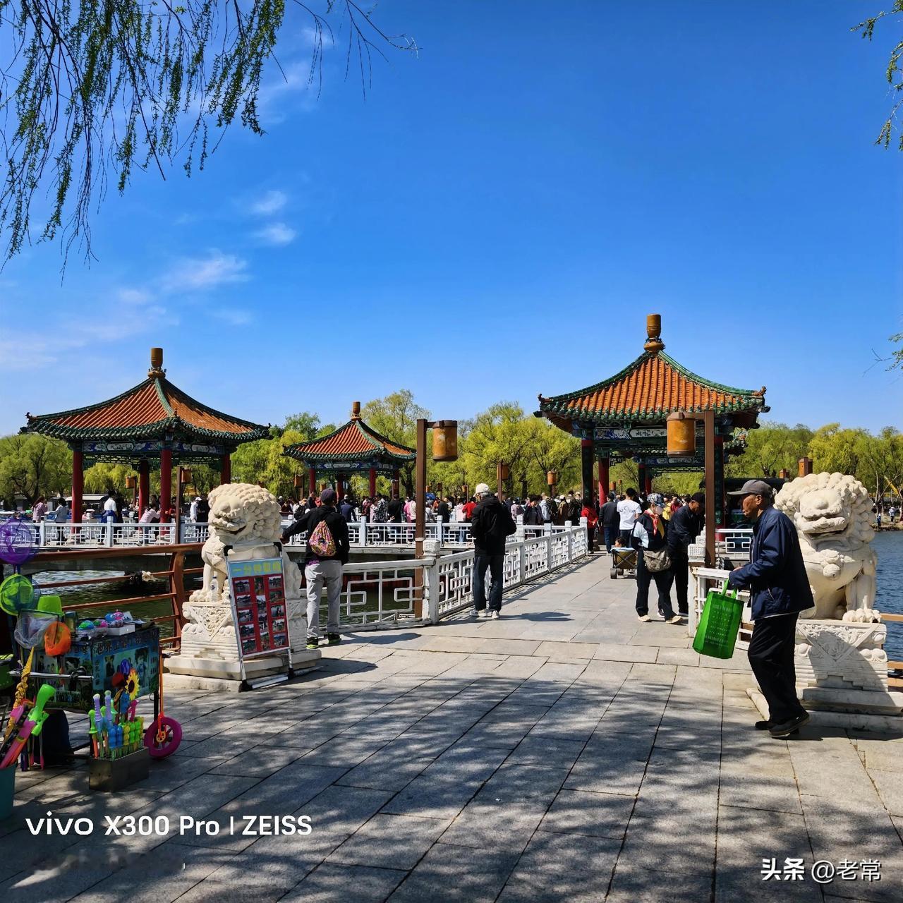 长春南湖公园的景色随手拍。
长春有好的景点吗 公园美丽景随拍