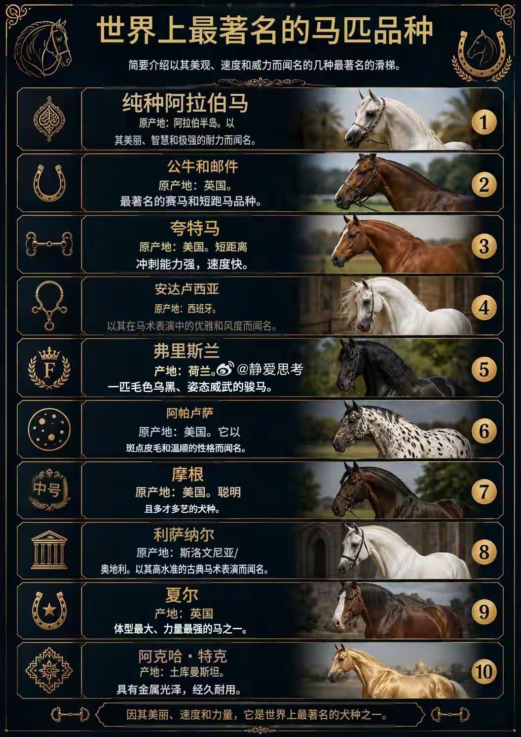 著名的马 