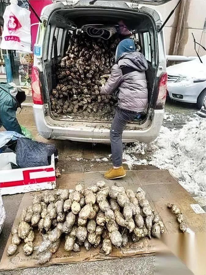 武汉-4℃！小贩还在摆摊

他们究竟图啥？

寒风里，小贩缩着脖子跺脚，手冻得红