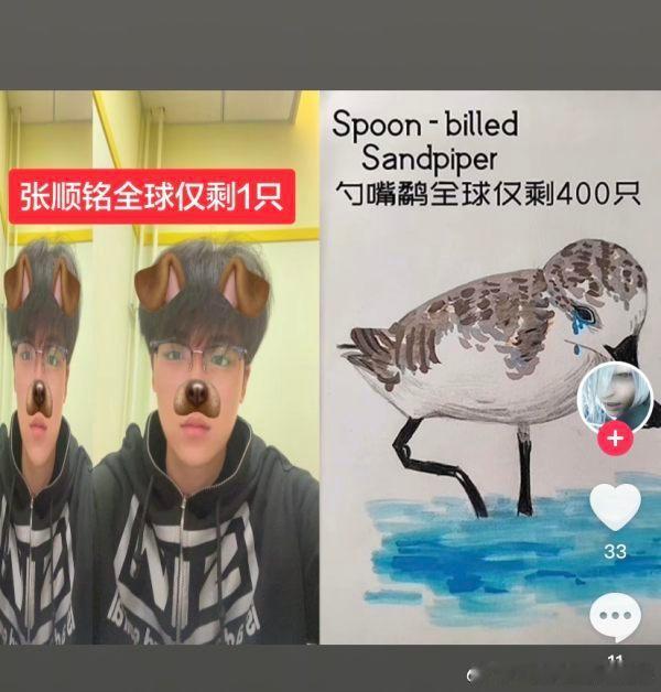 这种视频究竟是何意味。。保护濒危动物需要用这样娱乐化的方式吗 