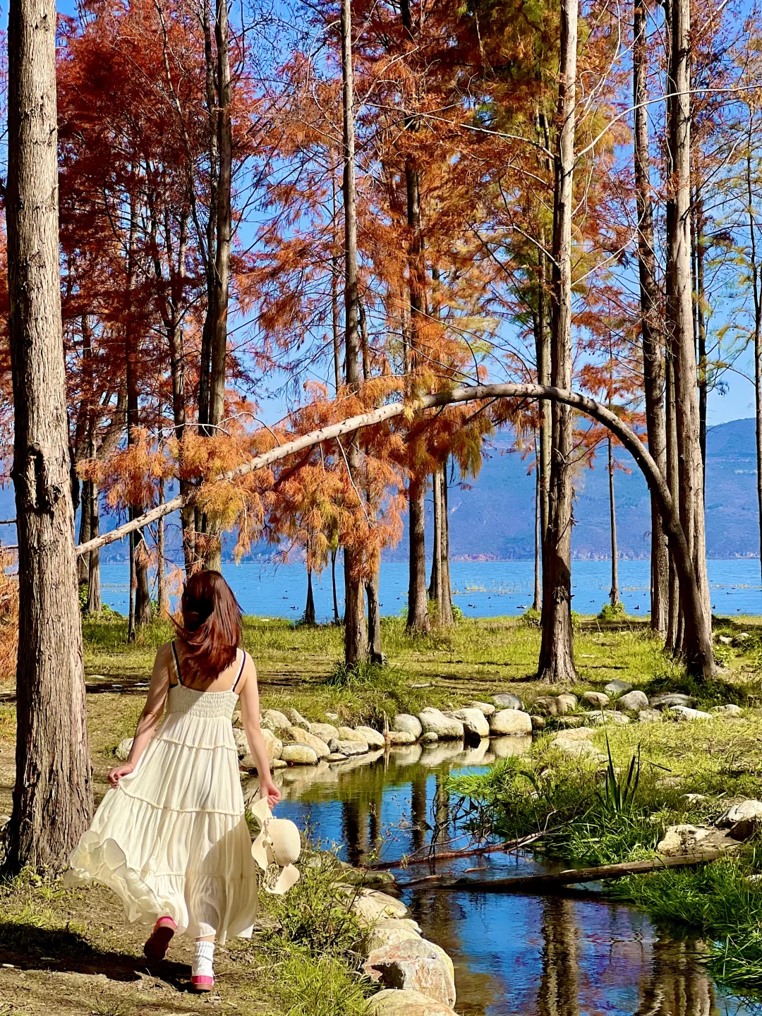 离开大理后。。。我念念不忘的。。。