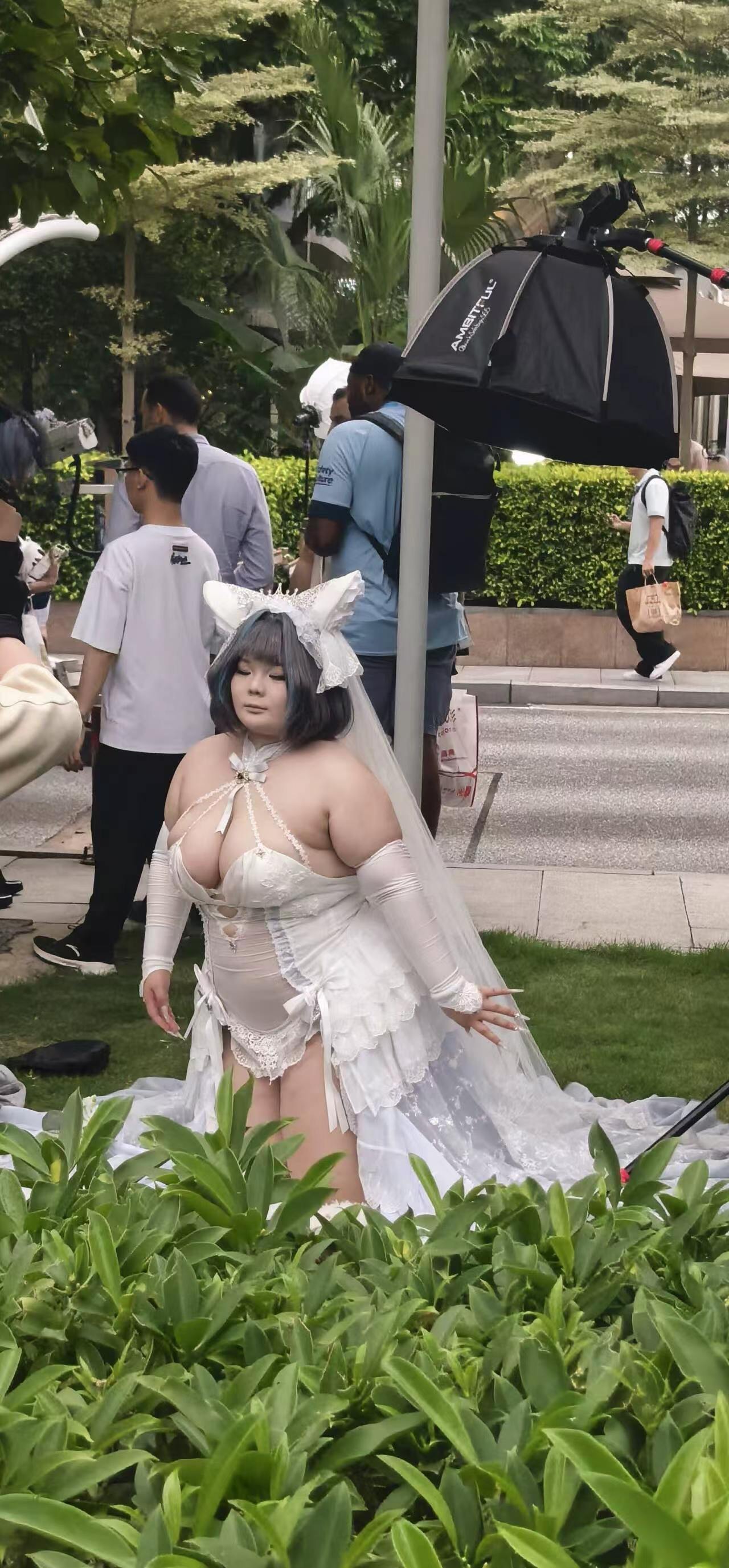 分享图片 