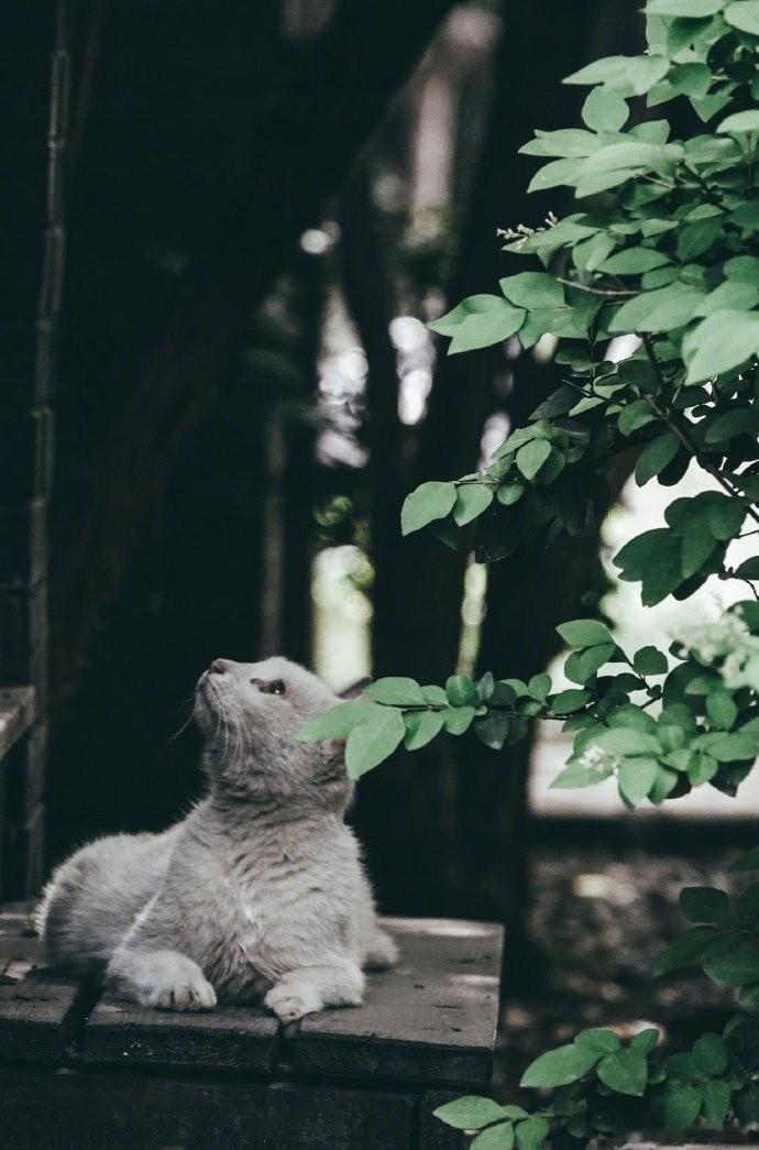 人生不过如此，且行且珍惜。自己永远是自己的主角，不要总在别人的戏剧里充当着配角。