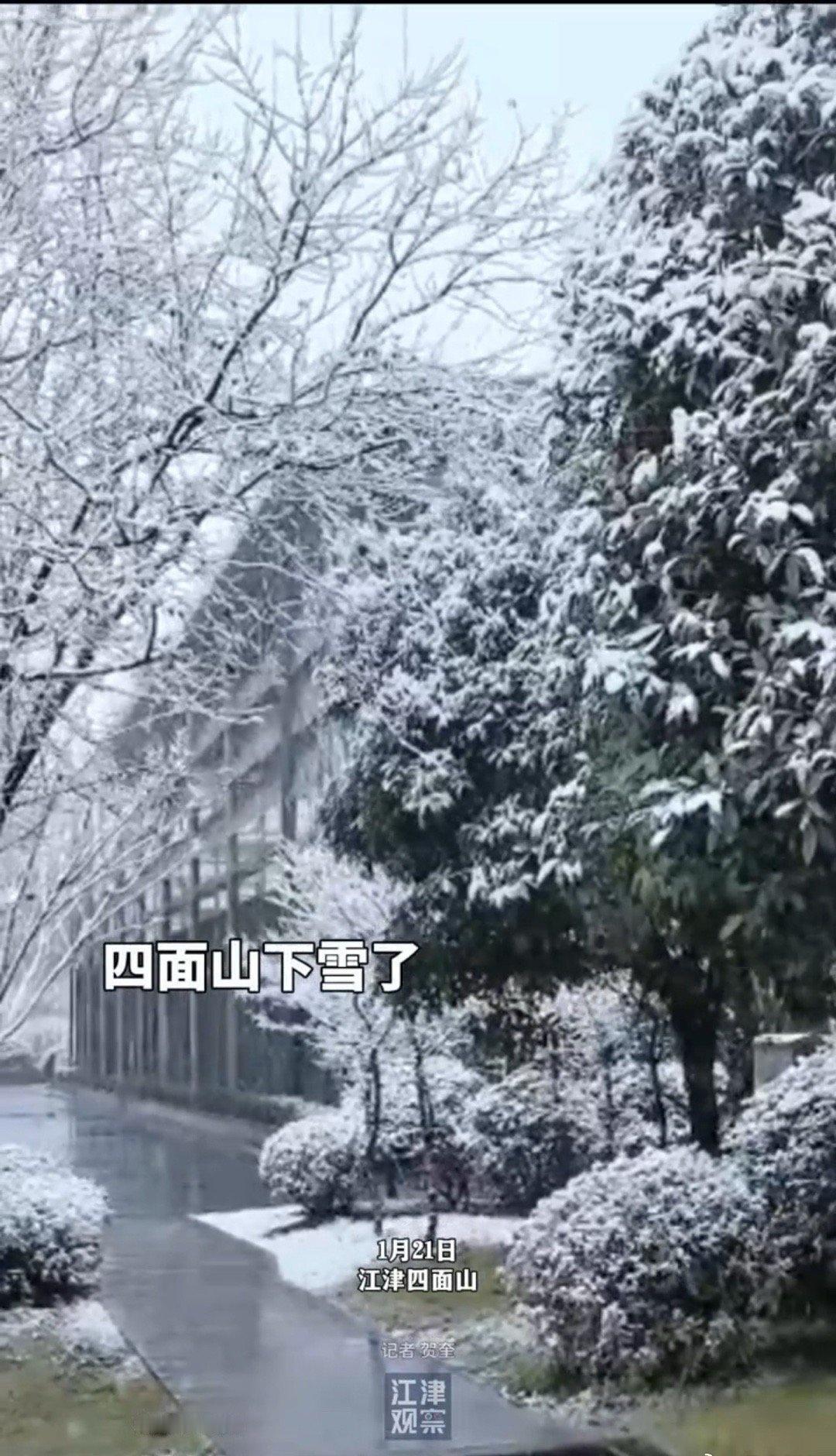 近日，重庆持续低温，主城海拔高的地方纷纷加入下雪群聊，江津四面山也开始下了，一面