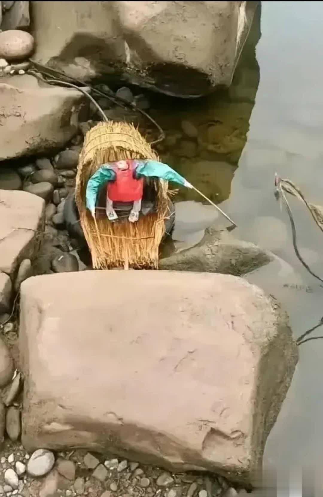 钓鱼时候飘过来的，这是个啥？ ​​​