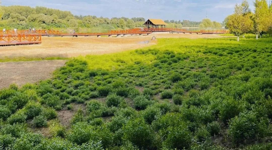 总要去一次北京通州大运河森林公园吧！

大运河森林公园位于北京市通州区宋梁路南段