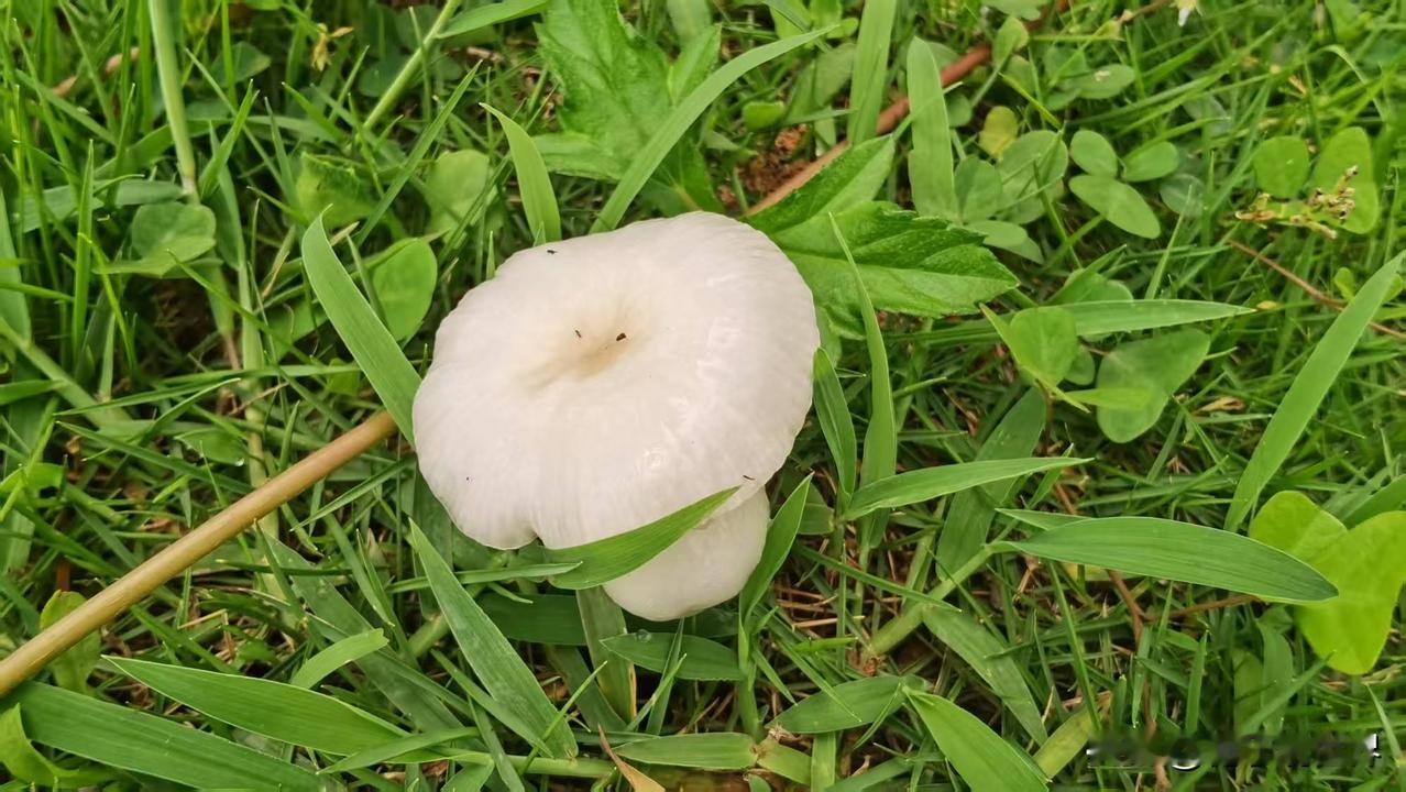 不是为了取悦谁，只为不负这一季的阳光与雨露。
