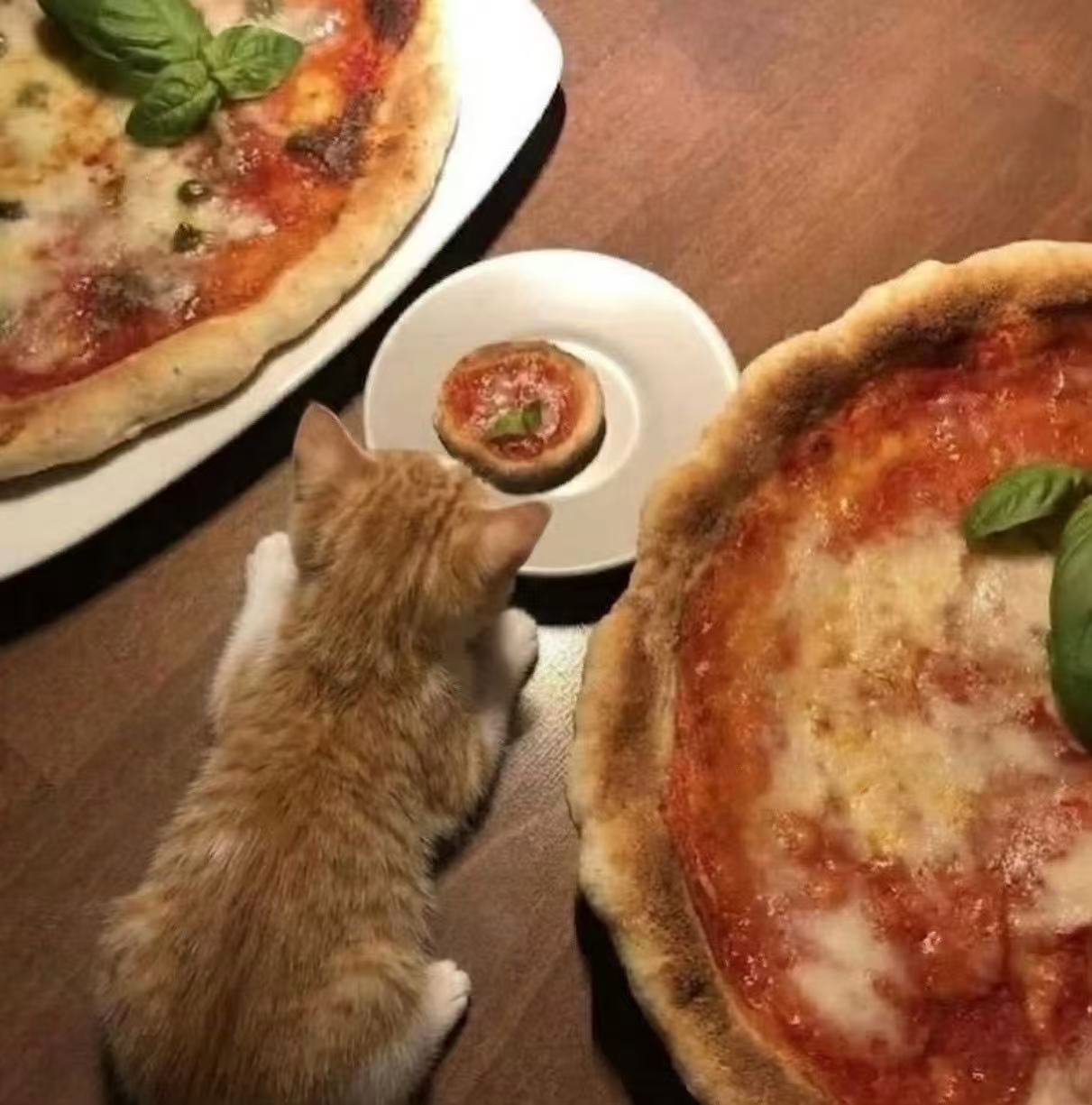 smol 