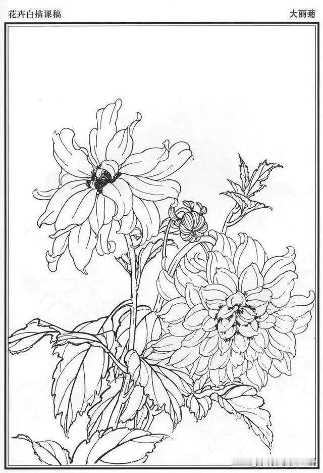 百花线稿图欣赏2