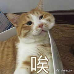 TABE的BP5把赢了4把，再怪他真没道理了。将心比心你玩飞机都打不过对线，我怎