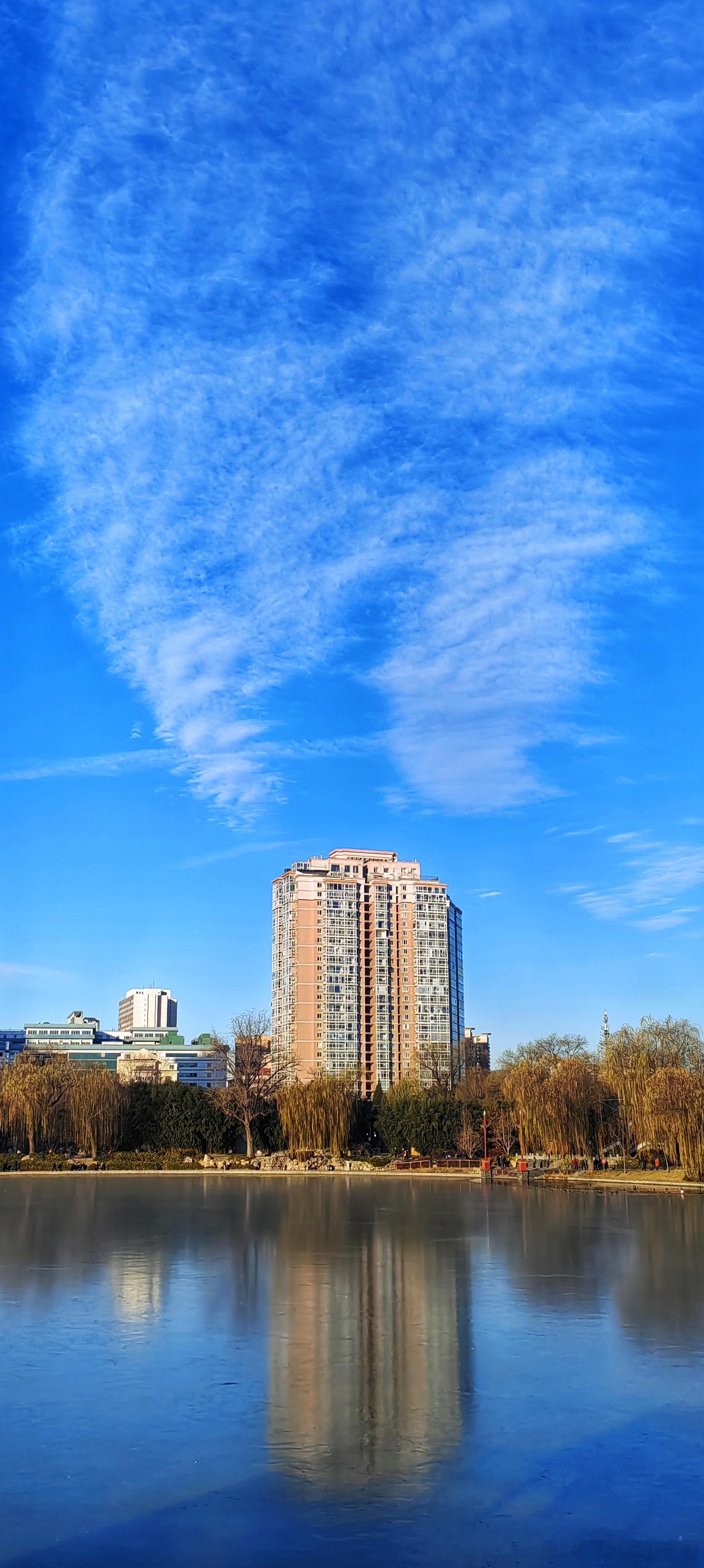 冬日紫竹院公园2025.12.8北京你好 摄影