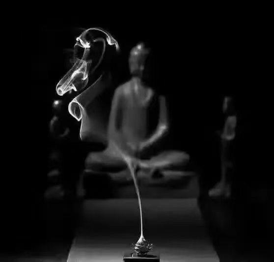 当你在困境中熬过迷茫困顿，仍旧带着向阳向上的姿态，不沉沦，不消极，不敷衍，不怨怼