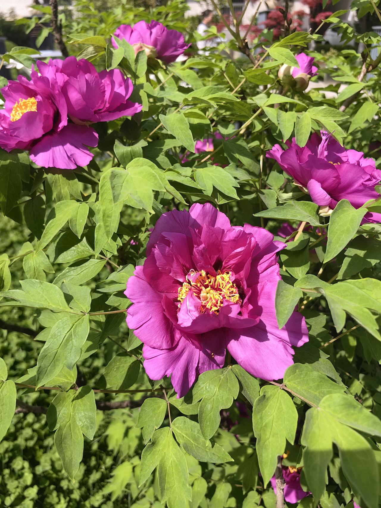 不要吸食孩子的能量！

前几天在网上看到一段文字，是关于普通人教育孩子的，我觉得