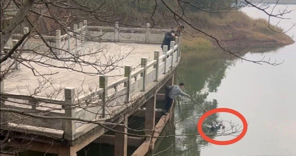 【湖水冰冷刺骨！泰和干部群众暖心救援落水女子】2月12日上午9点左右，在泰和县泰