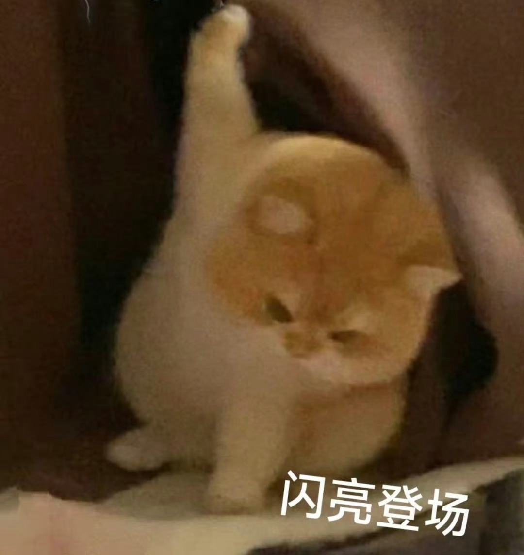 遮瑕遮不住？那是你颜色选择错了！！！遮瑕顾名思义，遮住瑕疵，那么好，先提问，墙上