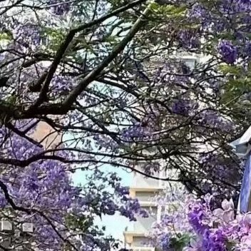 每日一善💐阳光‎信用💐‎每日一善真正决定一个人成就的也不是运气，而是严格的自