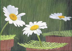 下雨天的时候，总想干些什么