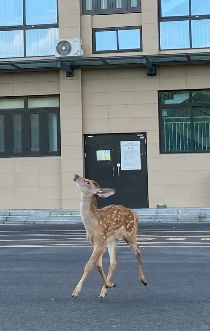 哇！ 周五了嘞 ～双休哦