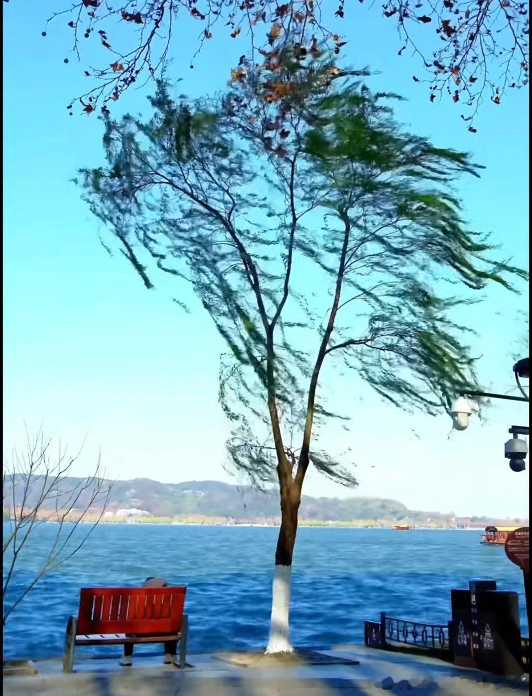 不用提前准备的七夕怎么过别被七夕的仪式感裹挟，不用精心规划行程，也不用纠结礼物。