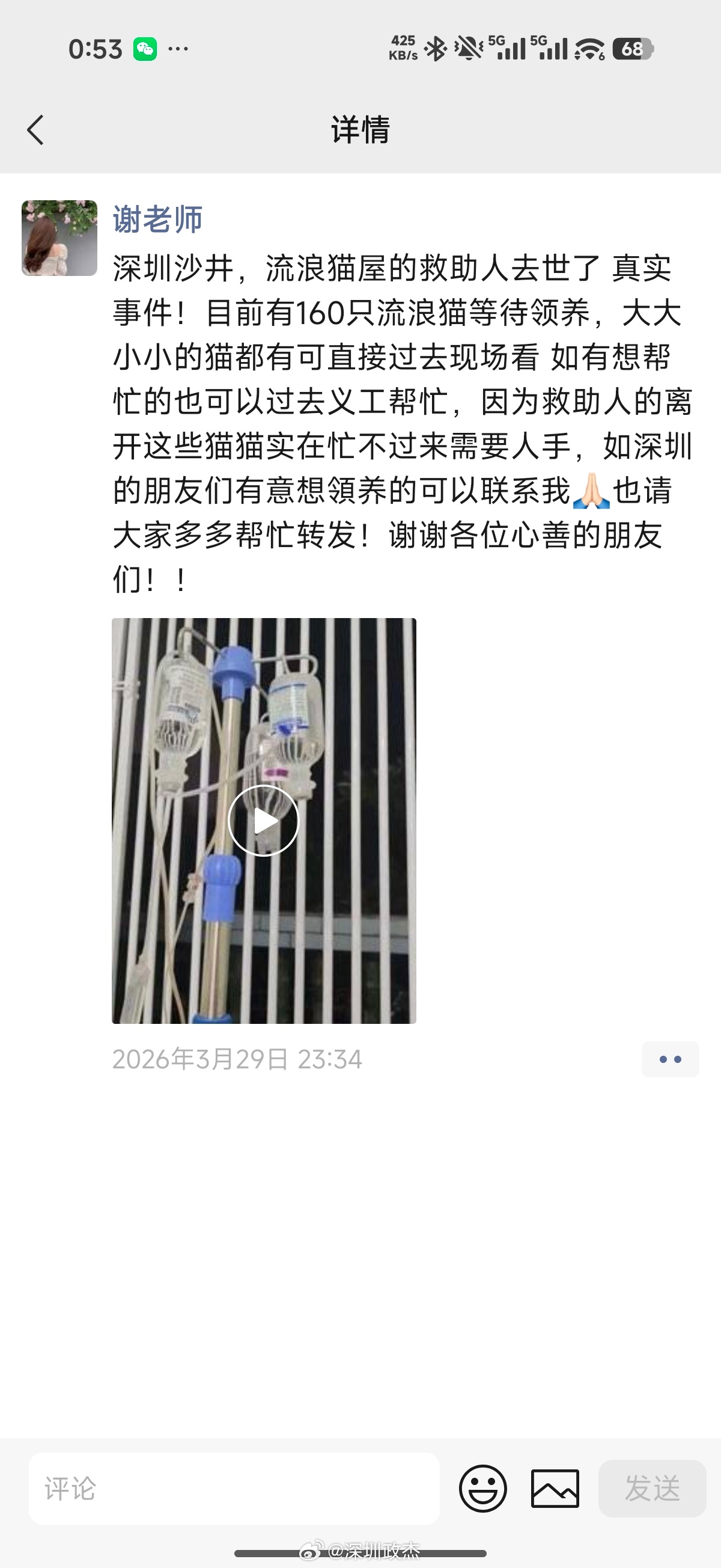 帮朋友转发，深圳沙井160只流浪猫待领养。 深圳