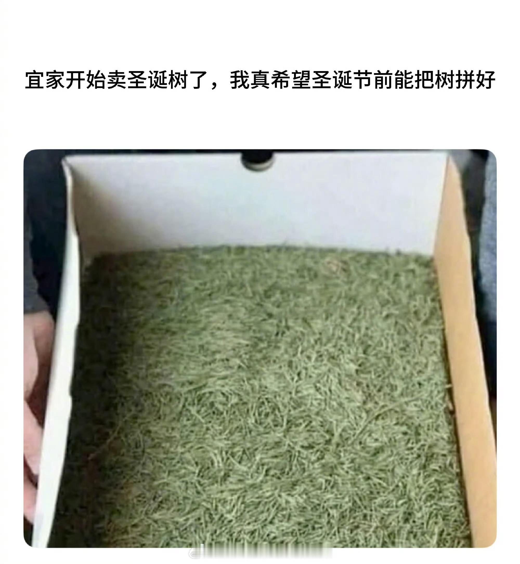 宜家笑话哈哈哈哈哈哈哈哈 