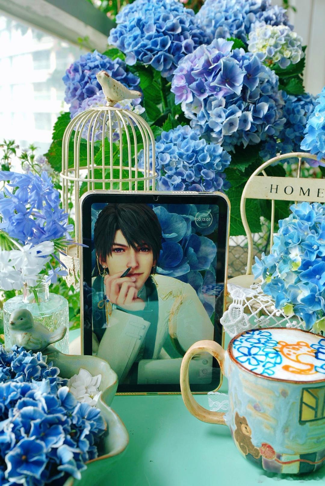 早(๛♡ ˘ ³˘ ) ( ˘͈ ᵕ ˘͈♡)海边的腊肠花开了💛蓝雪花和白雪花