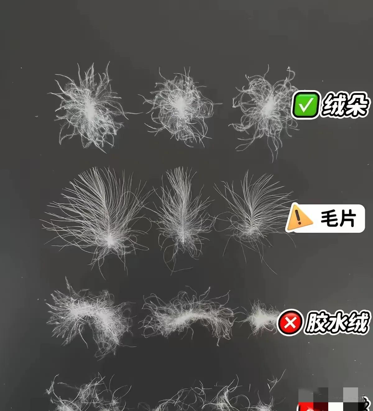 羽绒服的绒朵看起来就很柔软，
毛片看起来就粗糙了些。
羽绒服跑毛，看到绒朵心里就