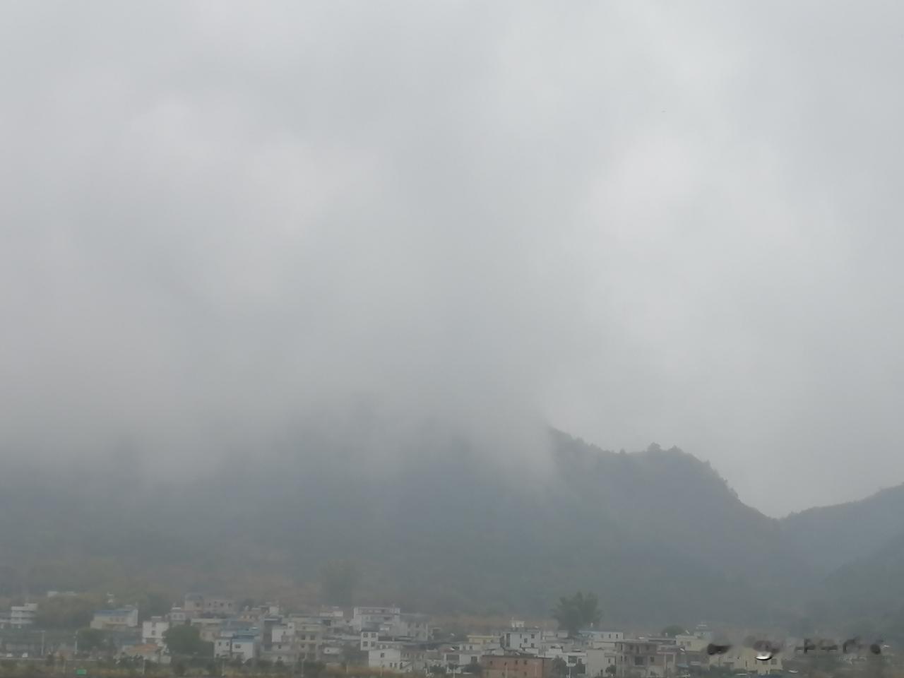 真是久旱逢甘霖，今天终于下雨了，大概算小雨至中雨吧！去年秋冬至今很久没怎么下雨了