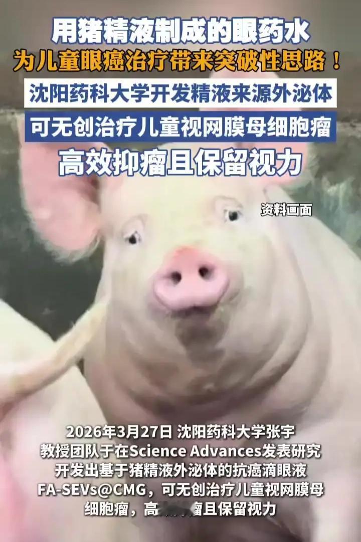 终于知道为什么孙悟空失明了一直喊八戒了