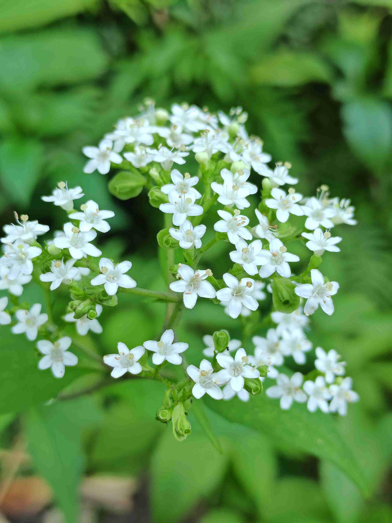 我的今日状态：😁轻松愉快
我这里的天气：☀️晴天