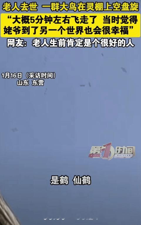 “解释不清了！”山东东营，91岁老人去世。突然，有一群大鸟在灵棚的上空盘旋了大概