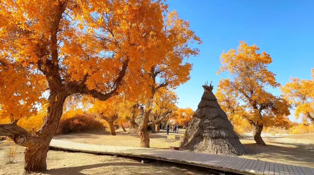 中国十大沙漠公园排行榜

沙漠公园是荒漠生态保护与合理利用的典范，既是地球演化的