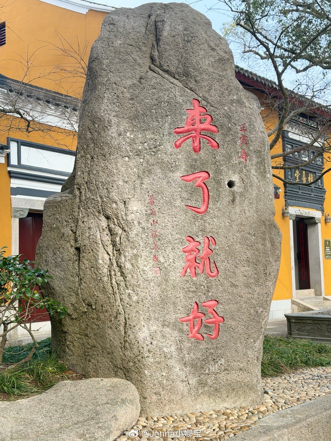 修养身心的最近我的日常plog