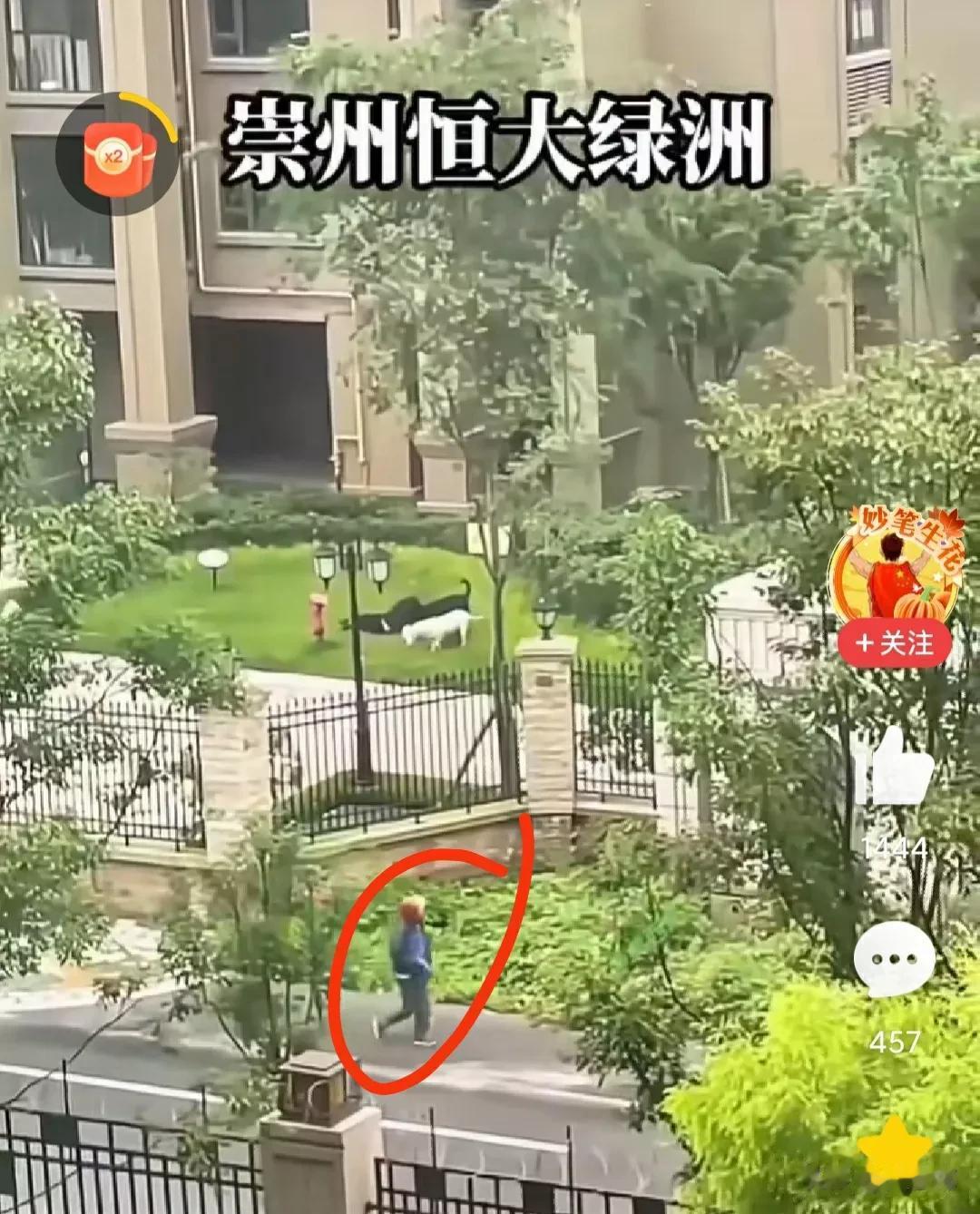 爱莫能助啊，原来2岁女童被咬现场还有5个男子。

16日早上8点，听到女童被咬惨