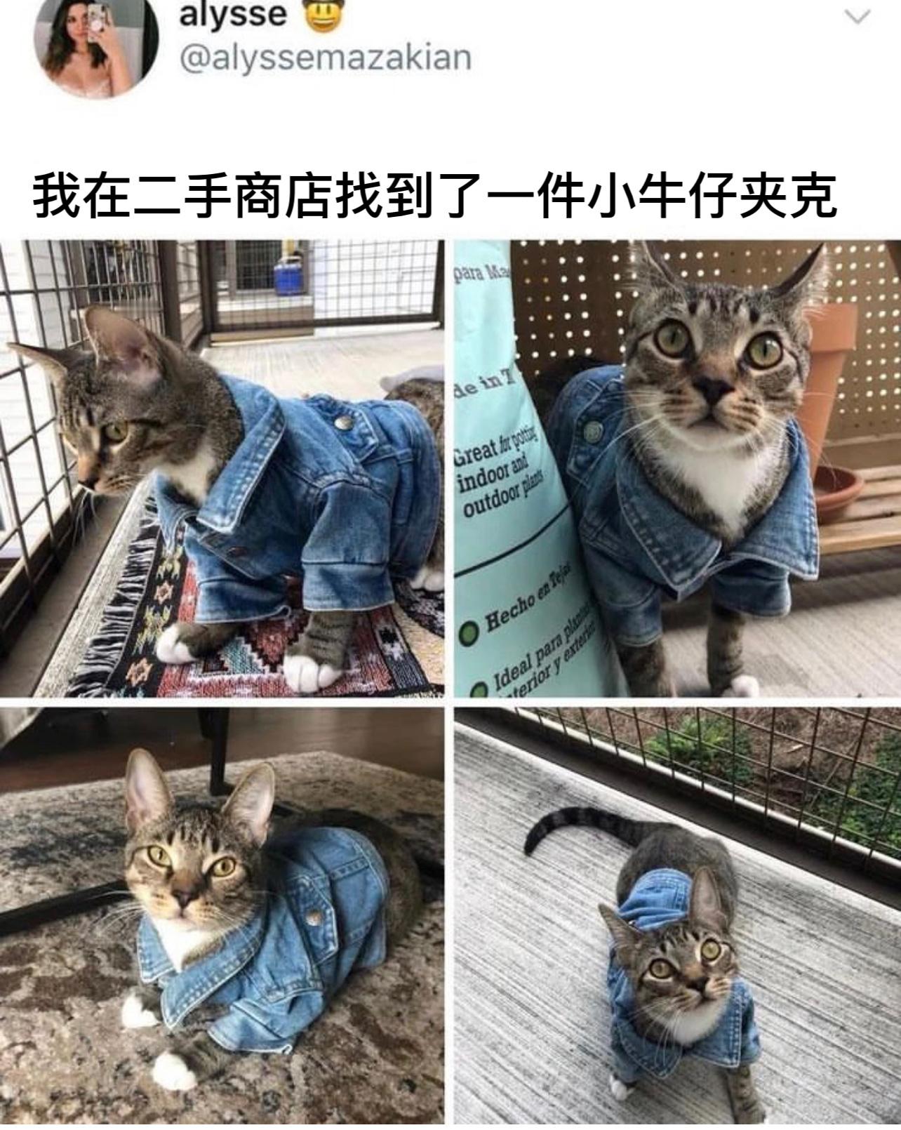 量身定做#今日memes# //#新年快乐漫游指南# //#转发接龙开新年# ​
