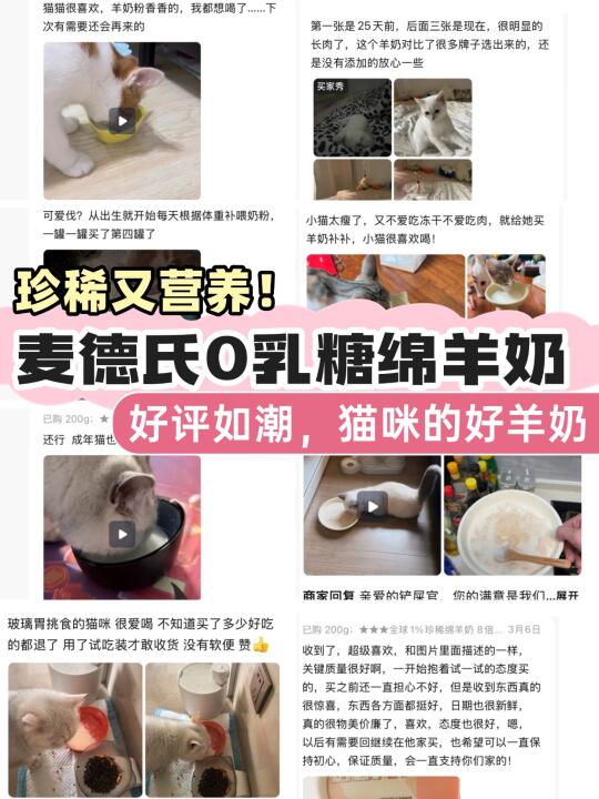 终于还是成了麦德氏羊奶粉的铁粉！