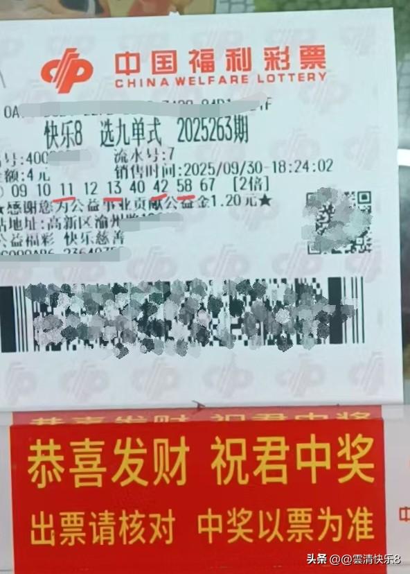 选九中四保本