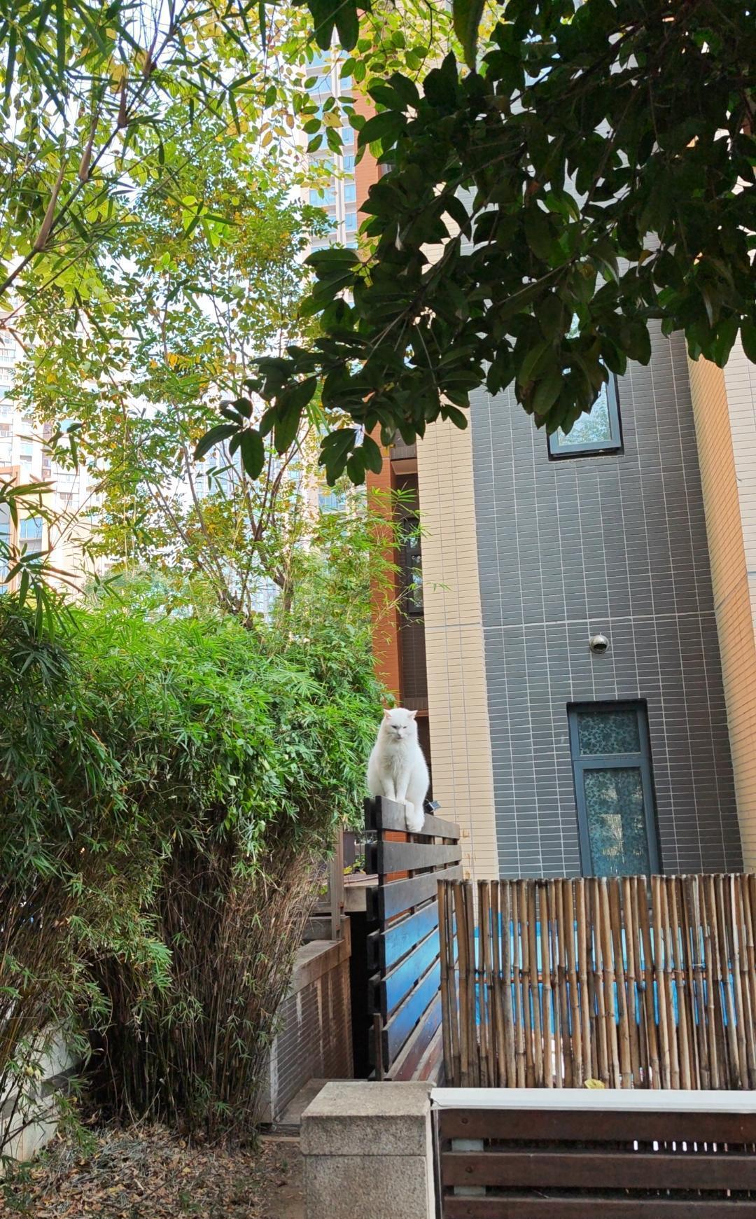 在北京，每天忙于工作，奔波劳累到让人怀疑人生。但是，穿上那双红舞鞋，身处在江湖之