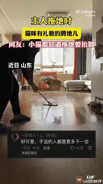 谁懂啊！山东老人拖地的名场面也太治愈了吧！
 
     小猫哪是宠物啊，分明是