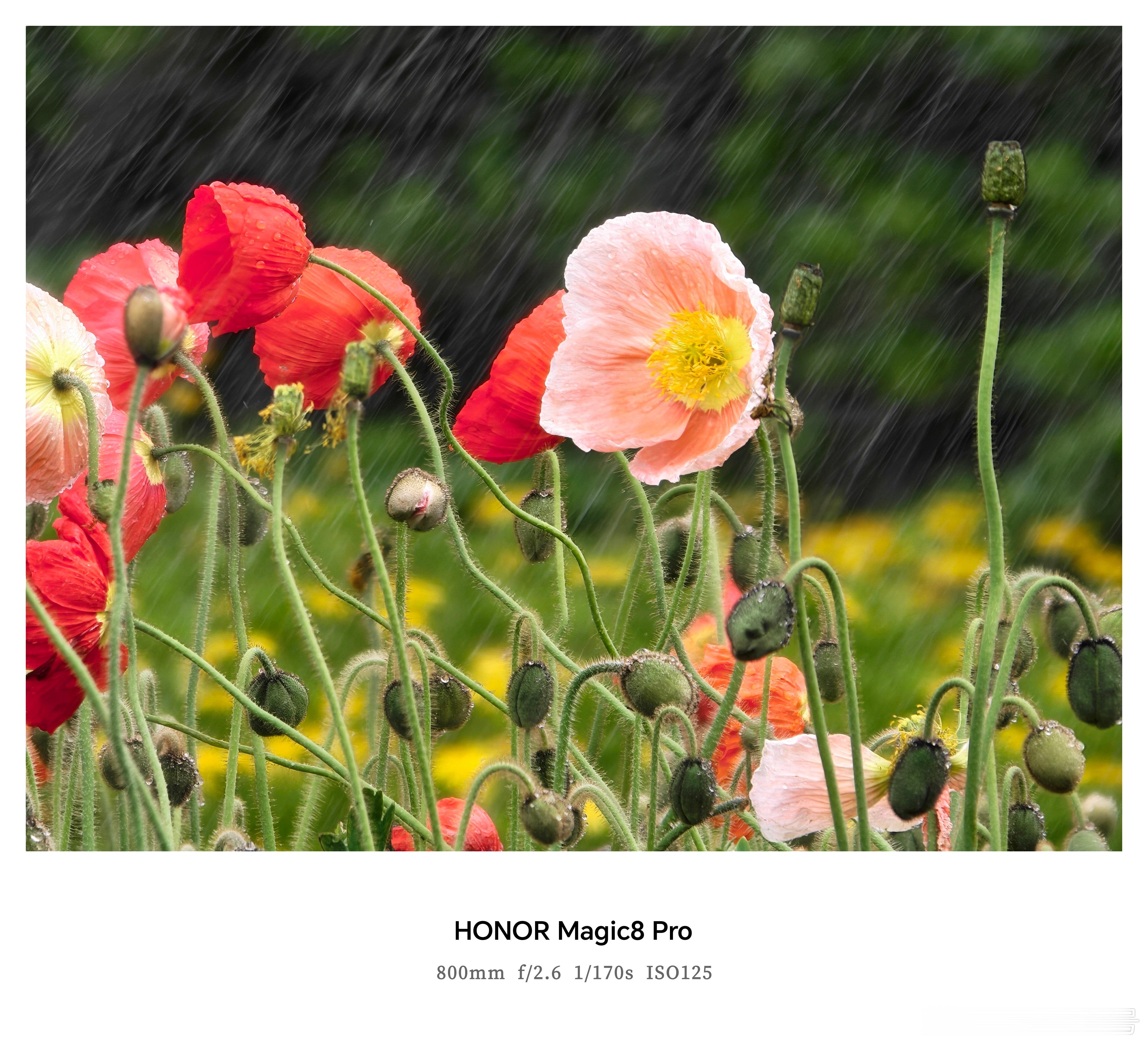 谁懂这次换手机的意义 终于不用为拍照发愁了！荣耀 Magic8 原色引擎加持，拍