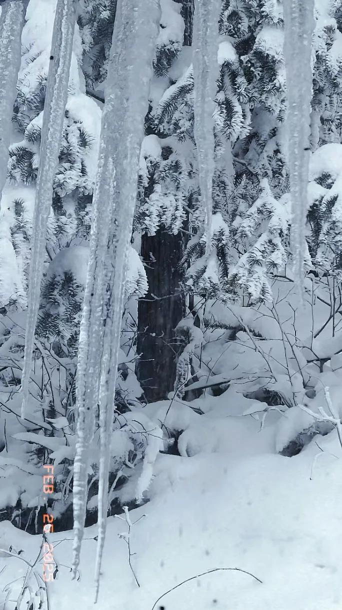 以为春天到了，没想到山上会下大雪。