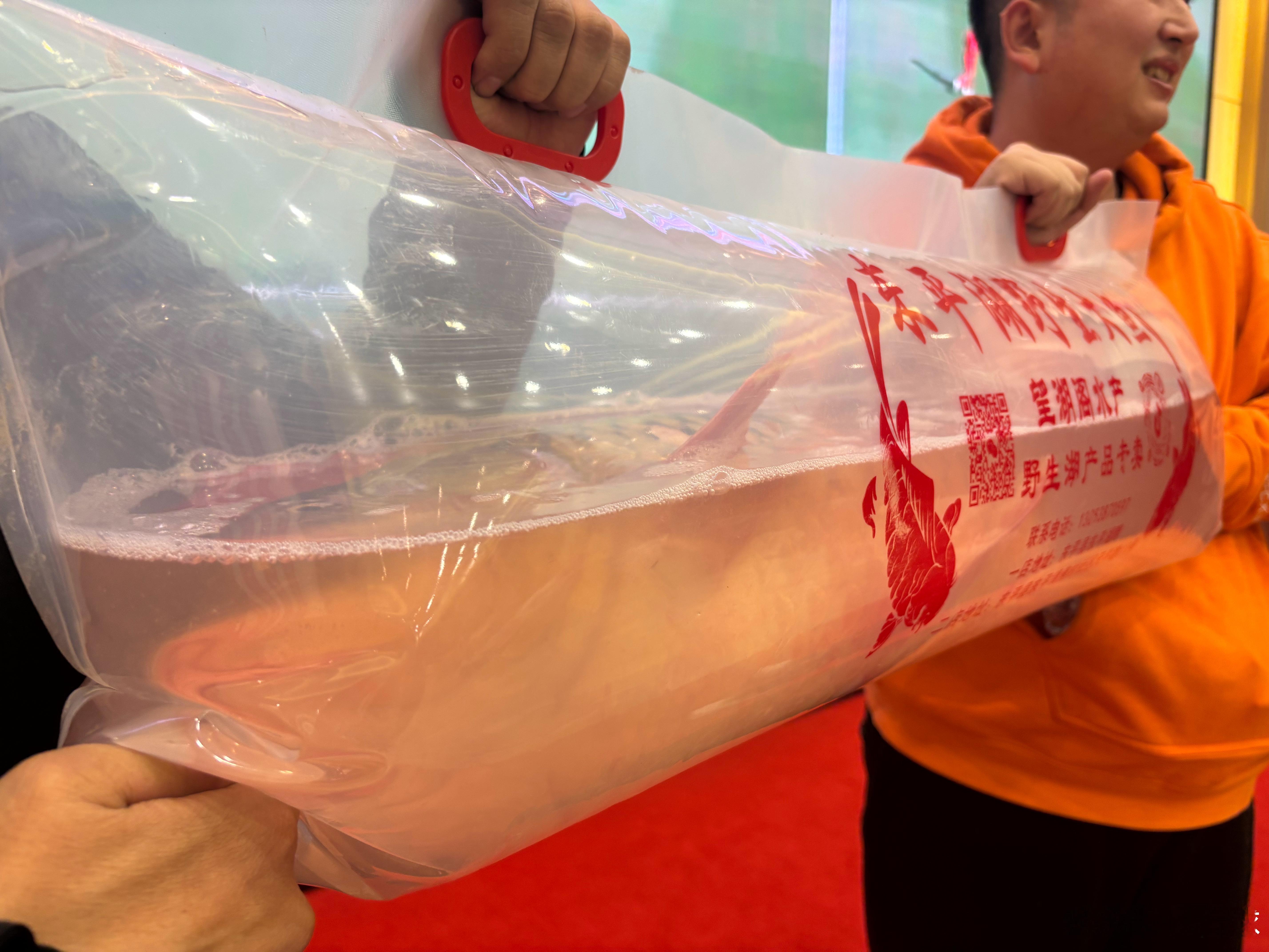 今天吃到了东平湖的大鱼👍 