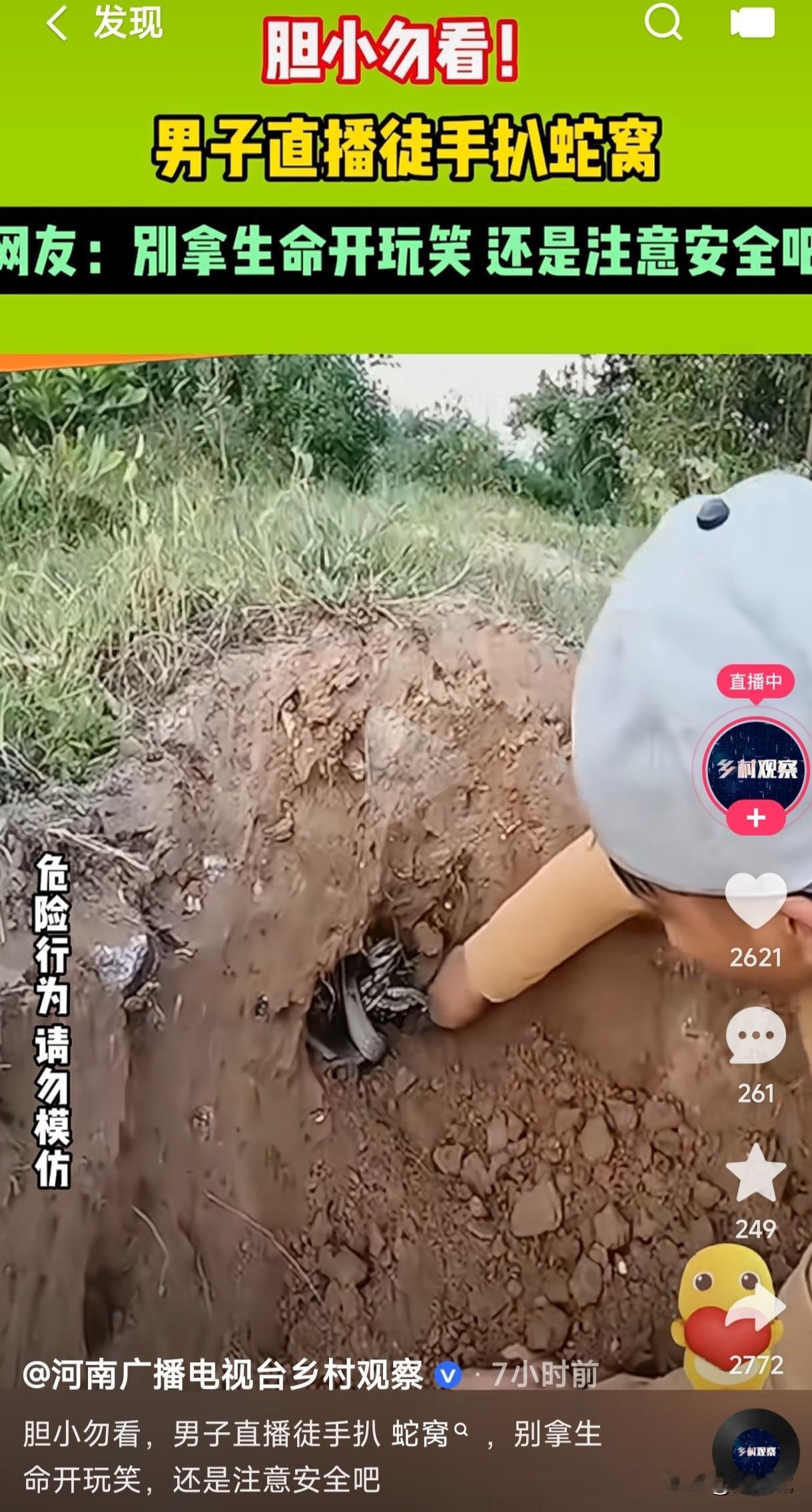 男子直播徒手扒蛇窝，这是为了流量不顾一切视生命如儿戏吗？还是说蛇冬眠了根本就不会