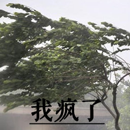 求各位大哥大叔推荐一款手动刮胡刀，以前用吉列锋隐，但是刀头太贵了，根本用不起，求