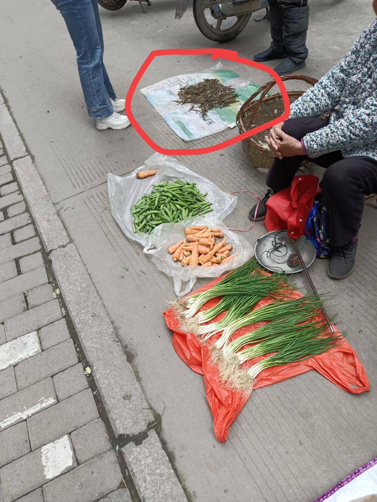 河虾一百块钱一斤，有多少人一天的工资买不到一斤虾子的？
  小时候小沟小氹里总有